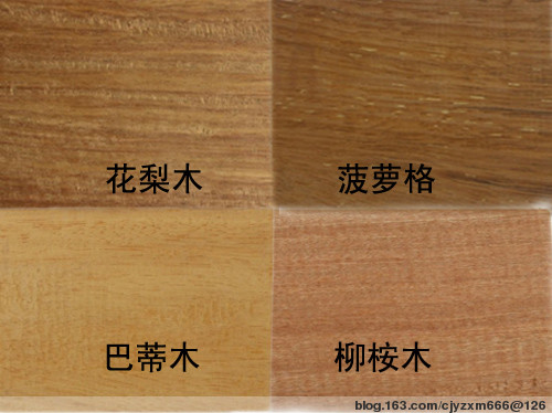 ����鿴�㽭����ľ�Ŵ�ͼƬ