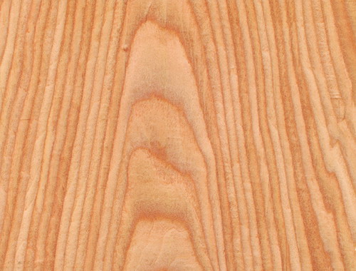 ����鿴�Ƽ�ľƤ�Ŵ�ͼƬ