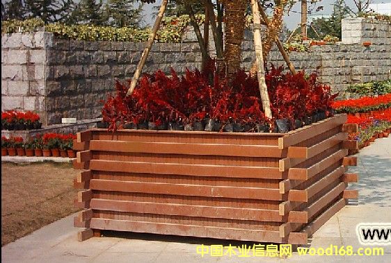 ����鿴��ľ���طŴ�ͼƬ