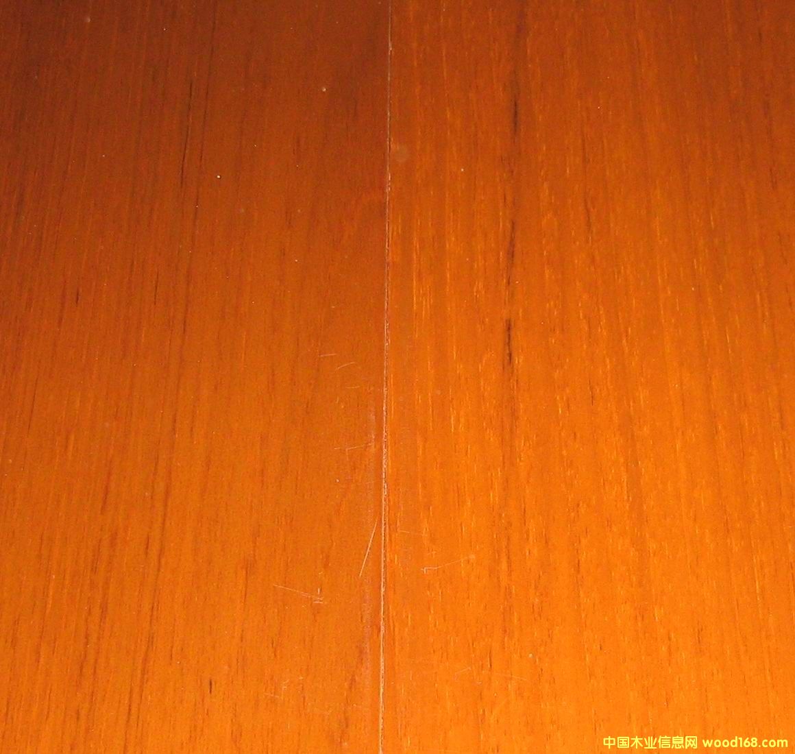 ����鿴̩�ַŴ�ͼƬ