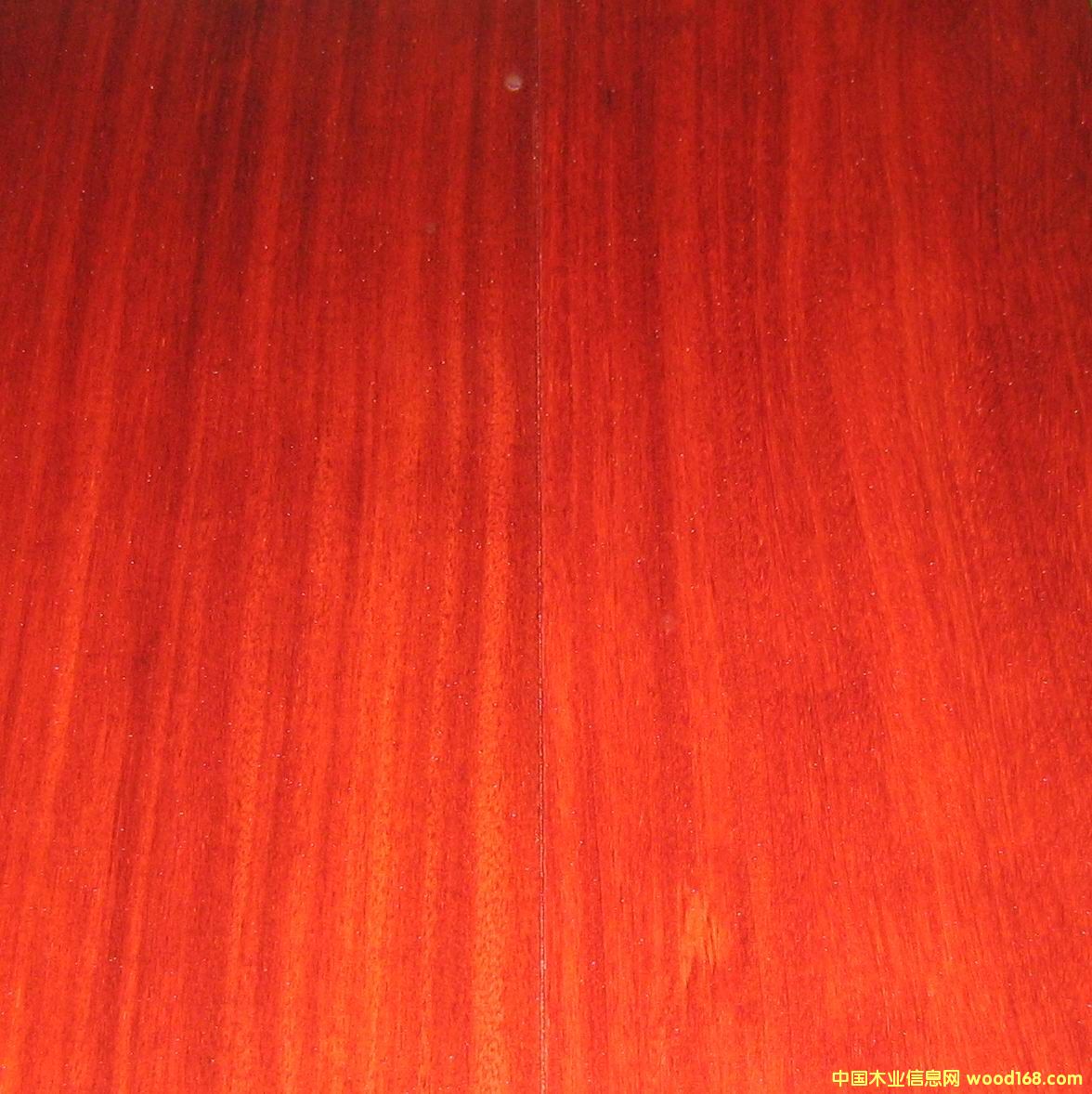 ����鿴��̴��Ŵ�ͼƬ