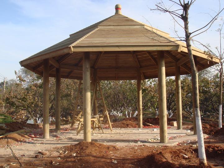 ����鿴������ľ�Ŵ�ͼƬ