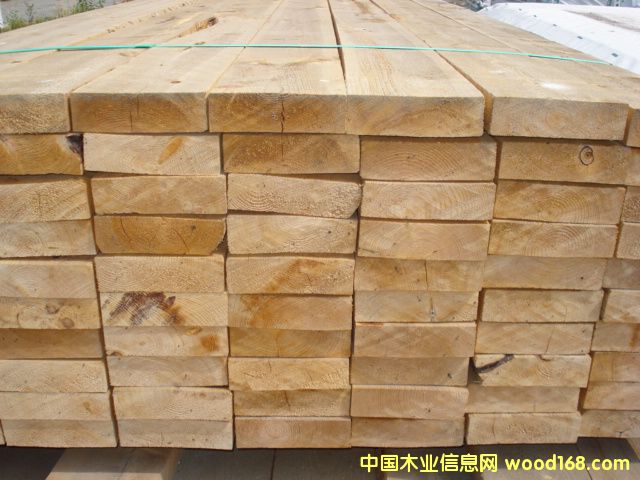 ����鿴��ľ�Ŵ�ͼƬ