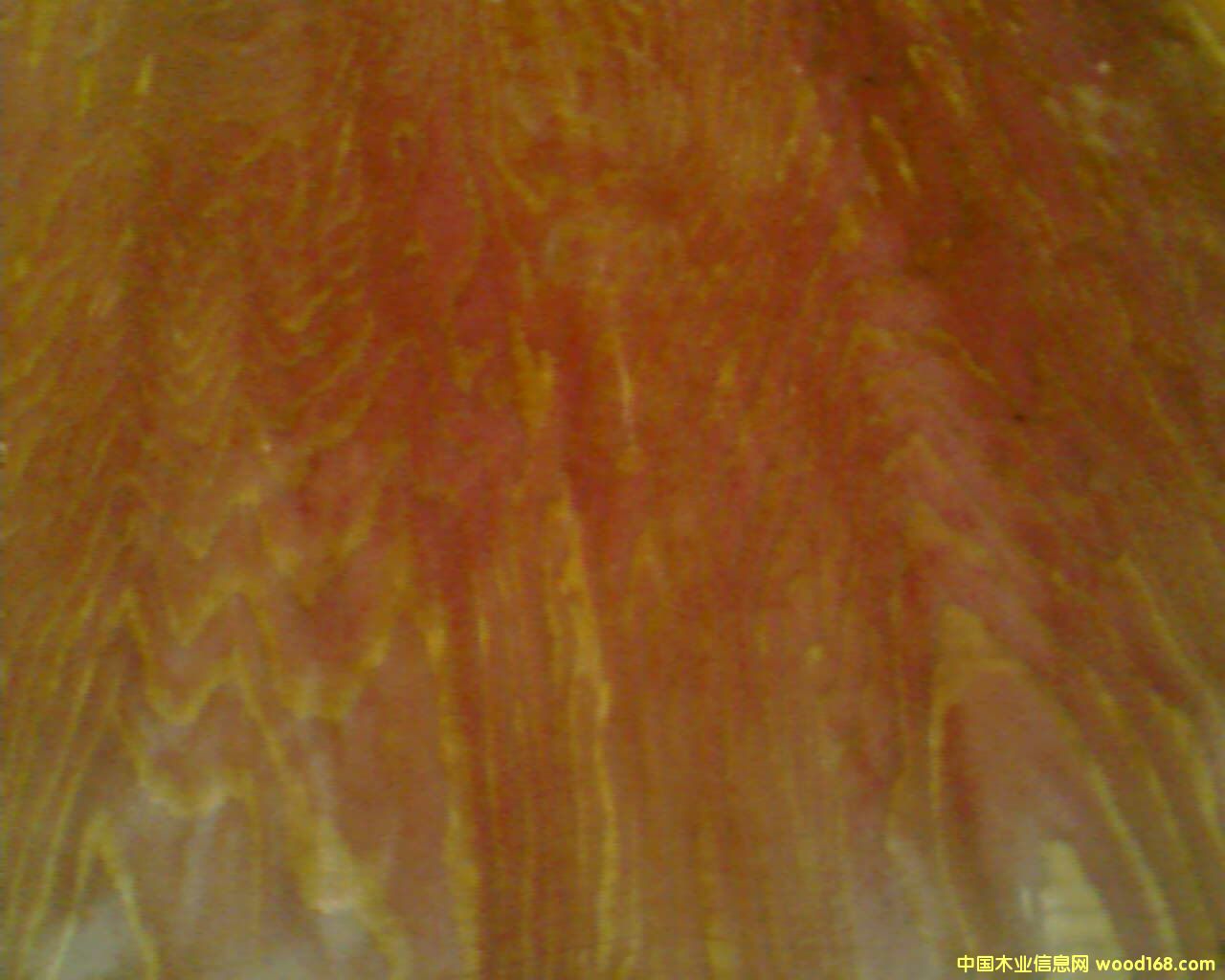 ����鿴����ģ��Ŵ�ͼƬ