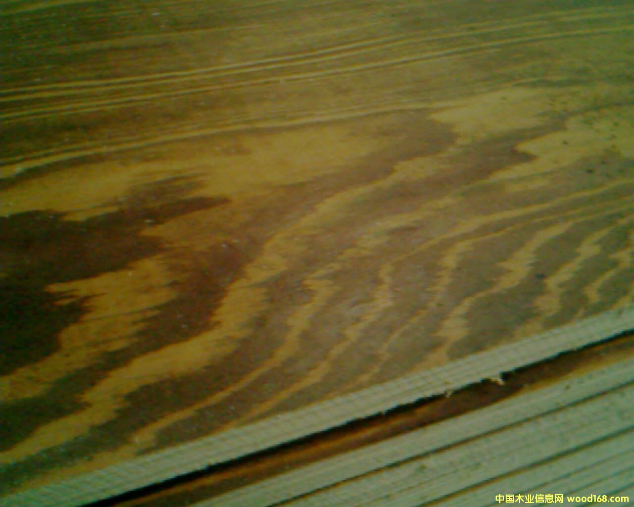 ����鿴����ģ��Ŵ�ͼƬ