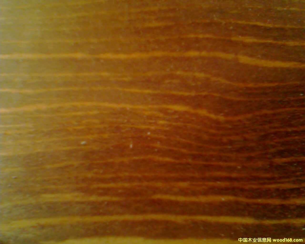 ����鿴����ģ��Ŵ�ͼƬ