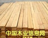 ����鿴ɼľ�Ŵ�ͼƬ