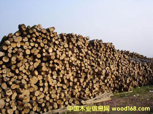 ����鿴ɼľ�Ŵ�ͼƬ