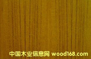 ����鿴��ľ�����Ŵ�ͼƬ