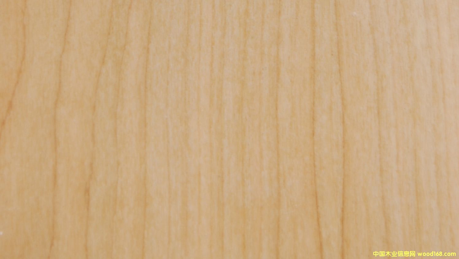 ����鿴����ӣ�������Ŵ�ͼƬ