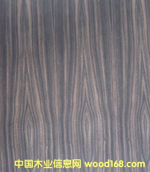 ����鿴��̴�����Ŵ�ͼƬ