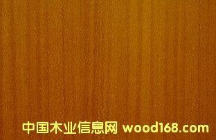 ����鿴ɳ���������Ŵ�ͼƬ