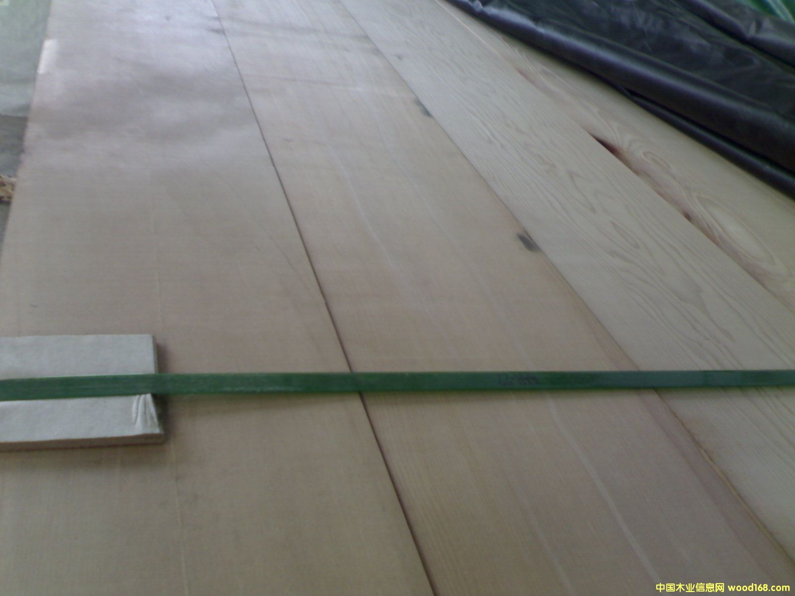 ����鿴��ľ�Ŵ�ͼƬ