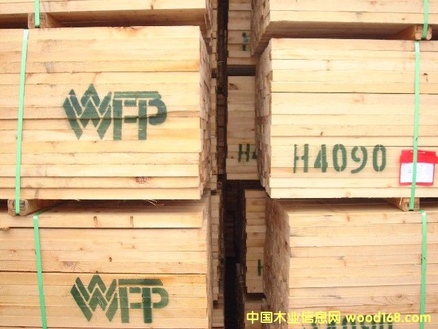 ����鿴����SPF�Ŵ�ͼƬ