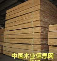 ����鿴ɼľ���Ʒ�Ŵ�ͼƬ