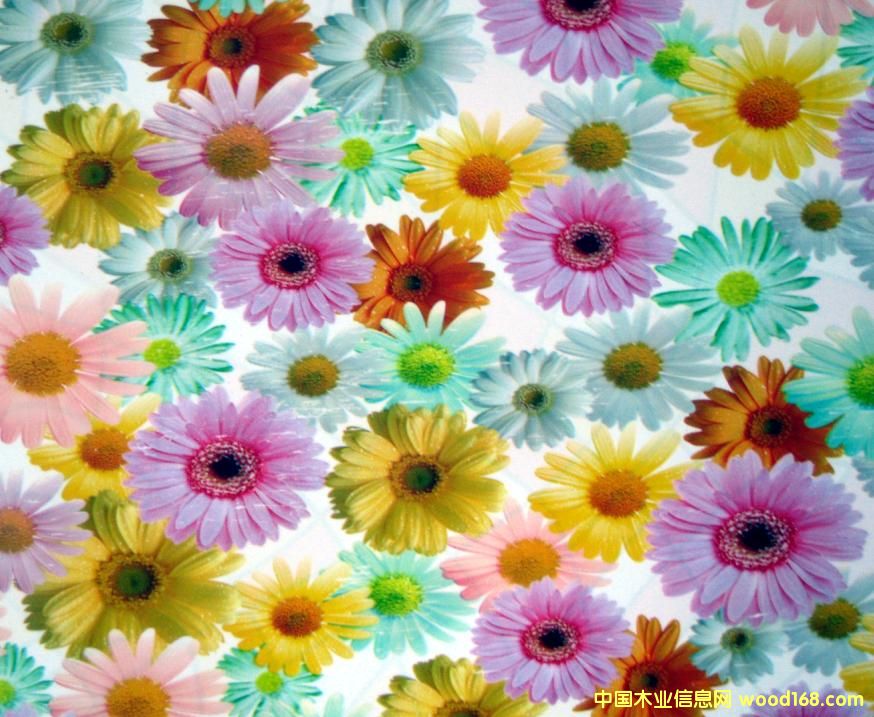 ����鿴PVC�Ŵ�ͼƬ