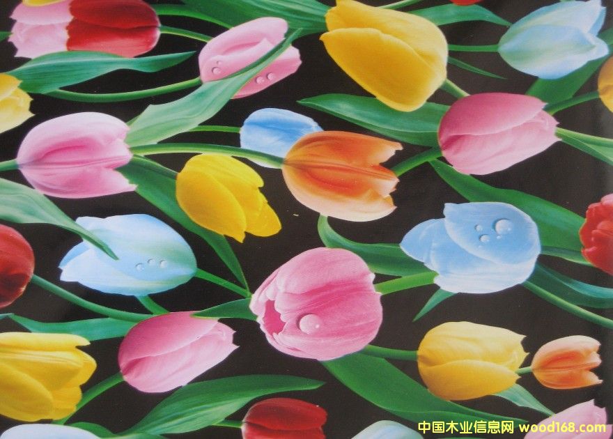 ����鿴PVC�Ŵ�ͼƬ