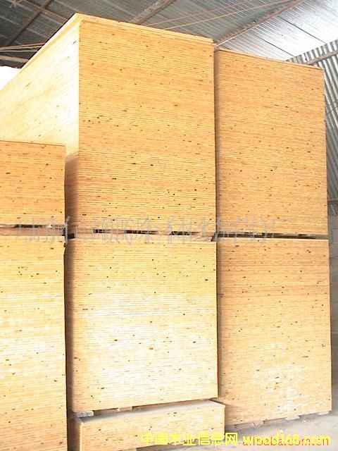 ����鿴ɼľָ�ӹ��Ŵ�ͼƬ