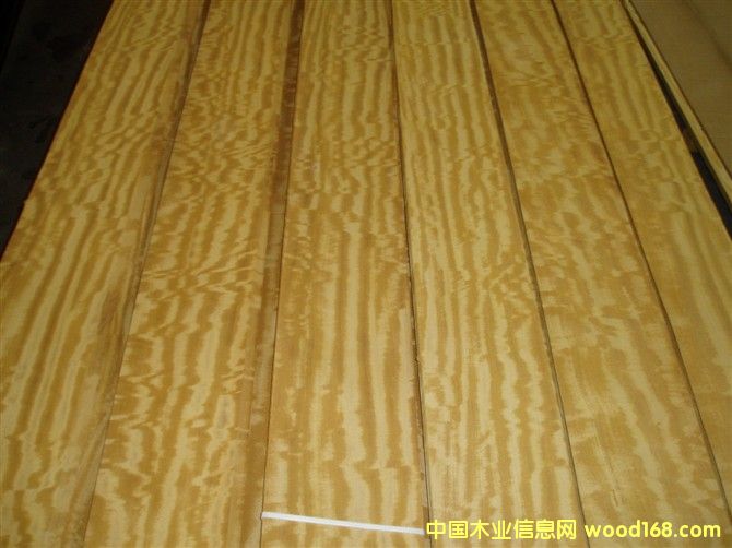 ��ӰľƤ����ϸ����