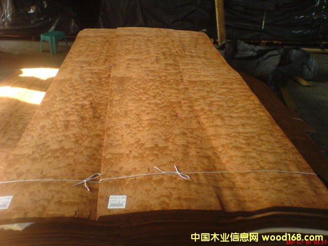 ���������ľƤ����ϸ����