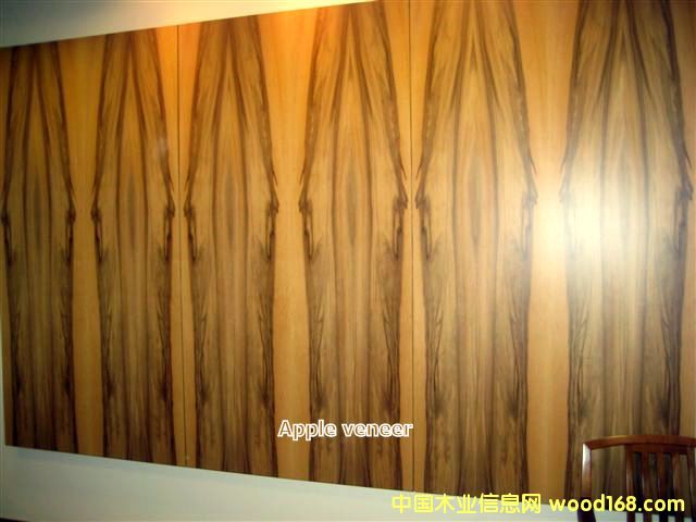 ƻ��ľƤ����ϸ����