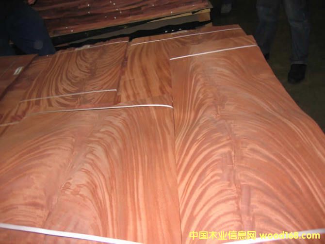 �һ������ľƤ����ϸ����