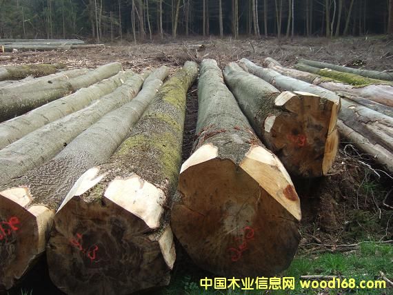 �ľ�����вĵ���ϸ����