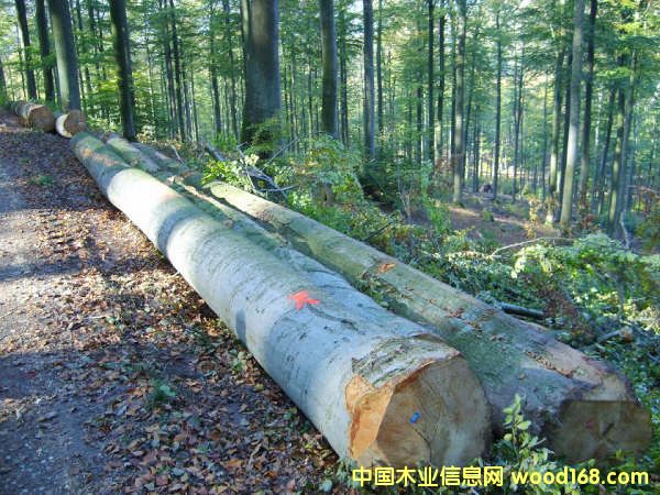 �ľ���м�����ϸ����