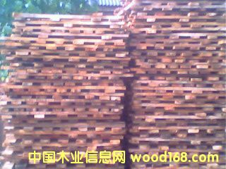 ����鿴��ľ��ķŴ�ͼƬ