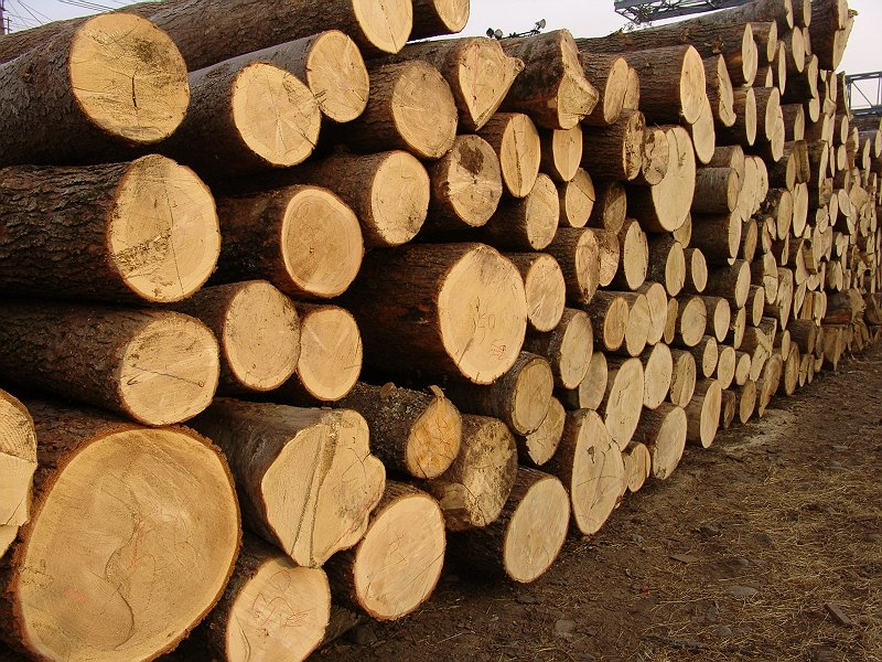 ����鿴��Ҷ�ɷŴ�ͼƬ