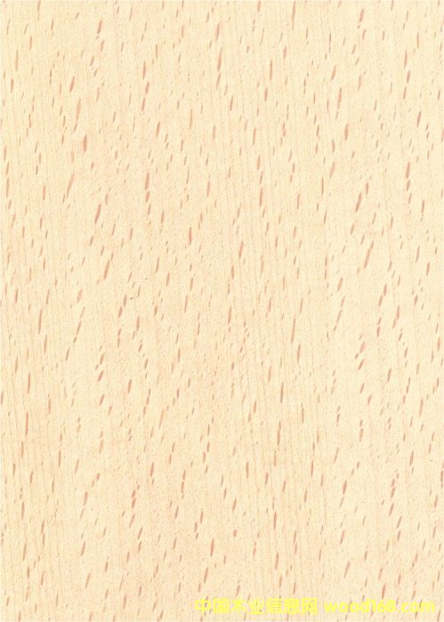 ����鿴���װ�ν��ϰ����ϸ����