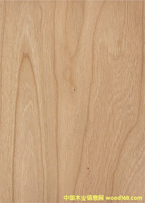 ����鿴����ӣ��(ɽ��)װ�ν��ϰ�Ŵ�ͼƬ