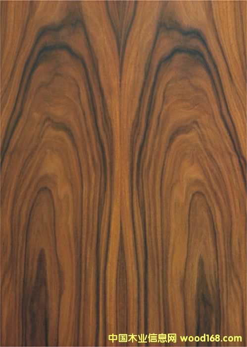 ����鿴������֦װ�ν��ϰ����ϸ����