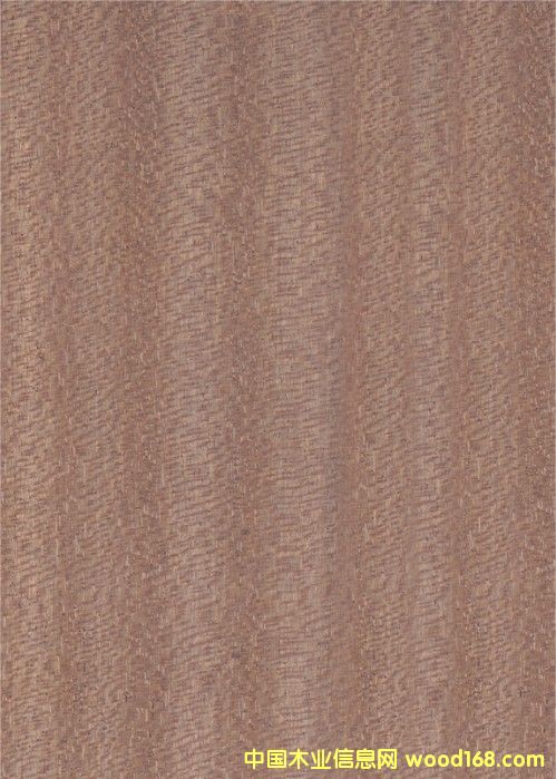 ����鿴ɳ����װ�ν��ϰ�Ŵ�ͼƬ