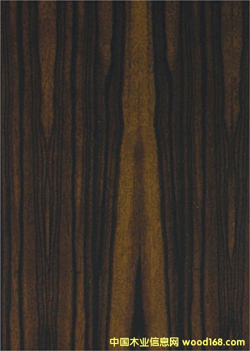 ����鿴��̴װ�ν��ϰ����ϸ����