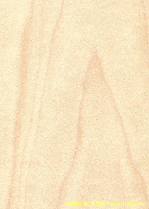 ����鿴��ľװ�ν��ϰ����ϸ����