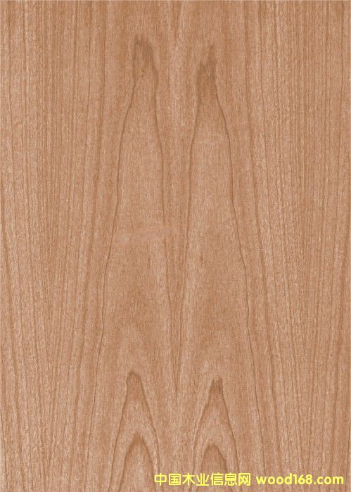 ����鿴ӣ��(ɽ��)װ�ν��ϰ�Ŵ�ͼƬ