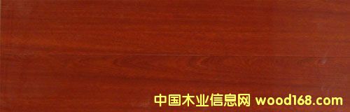 ����鿴���ϵذ�Ŵ�ͼƬ