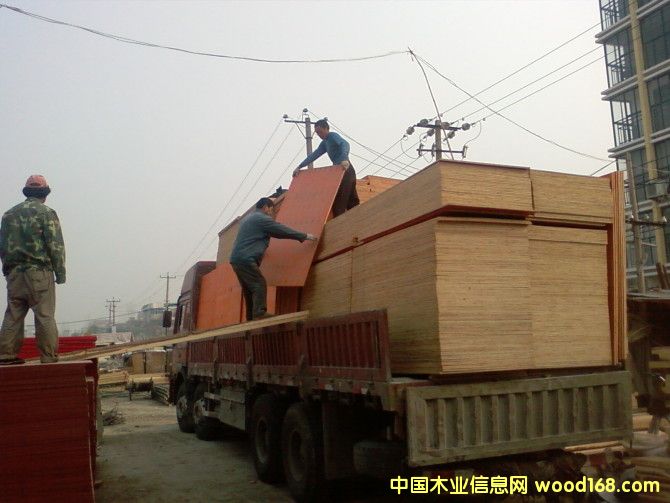 ����鿴��ľģ��Ŵ�ͼƬ