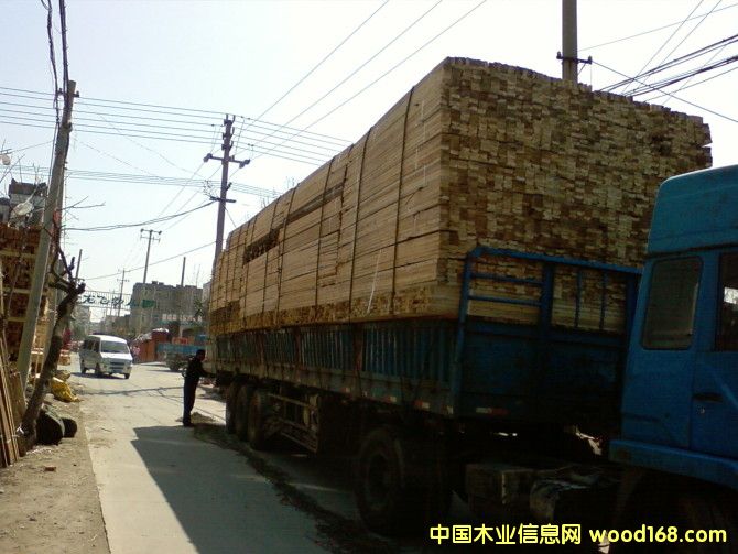 ����鿴ɼľ�Ŵ�ͼƬ