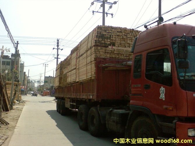 ����鿴ɼľ���Ŵ�ͼƬ