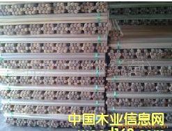 ����鿴�°ѷŴ�ͼƬ