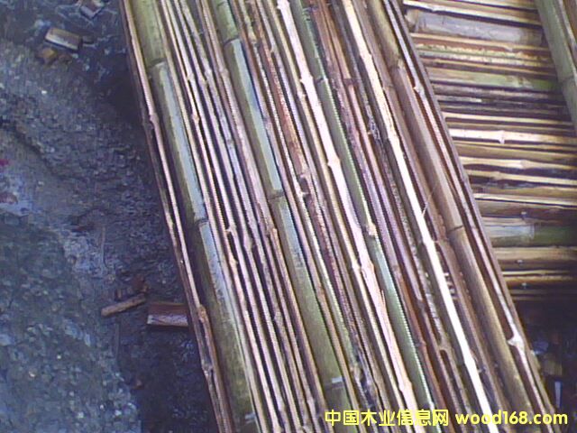 ����鿴��ܰ�Ŵ�ͼƬ