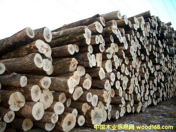 ����鿴��ľԭľ�Ŵ�ͼƬ