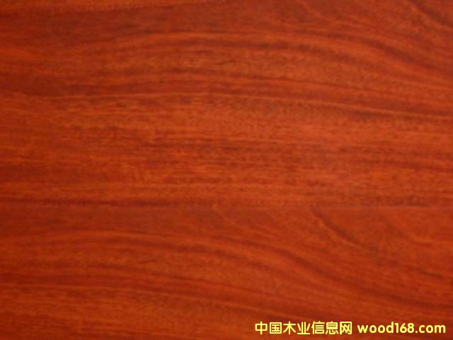 ����鿴��ȫ���ƻվ�����ϵ�еذ�Ŵ�ͼƬ