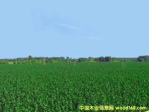 ����鿴������Ŵ�ͼƬ