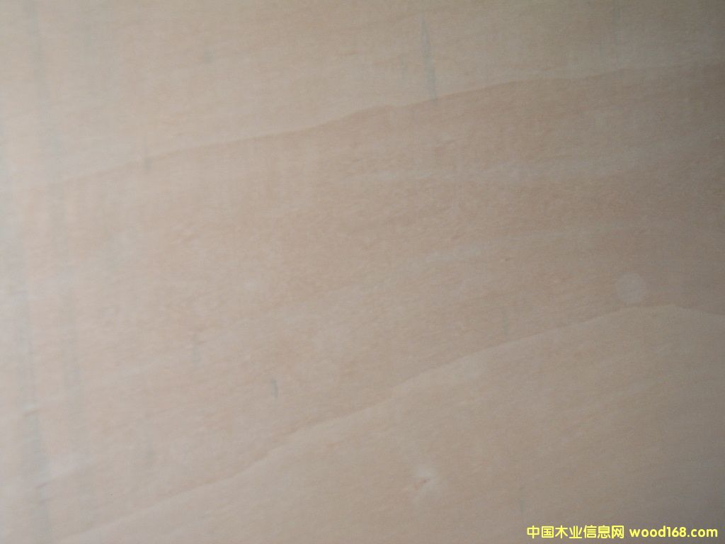 ����鿴��ľ�Ŵ�ͼƬ