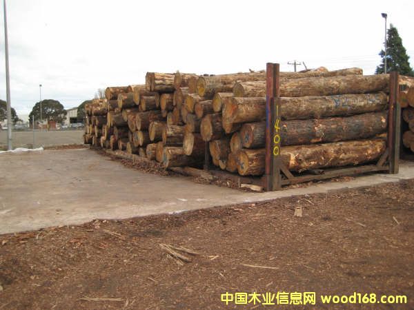 ����鿴�����������ɷŴ�ͼƬ