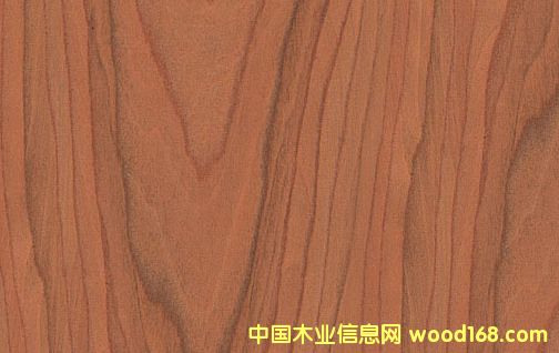 ����鿴ӣ�ҷŴ�ͼƬ