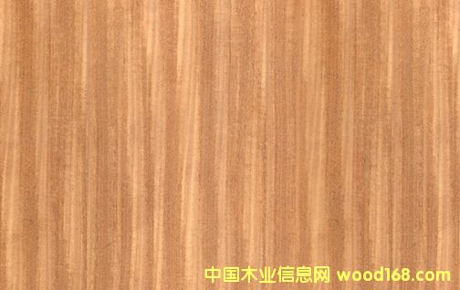 ����鿴7�Ŵ�ͼƬ